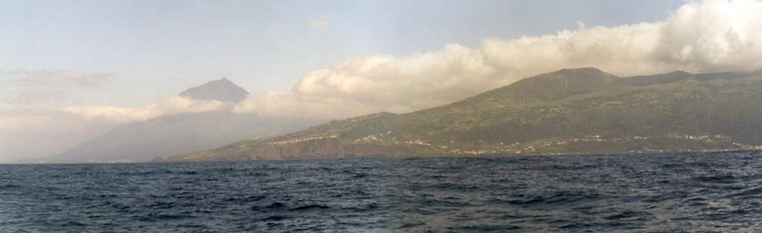 Pico