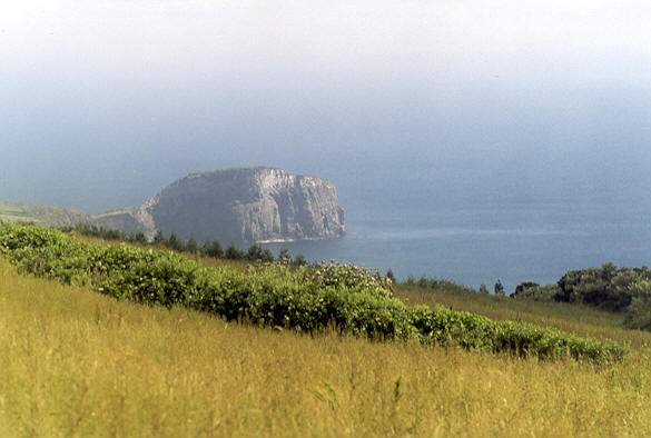 Ponta de Castelo Branco