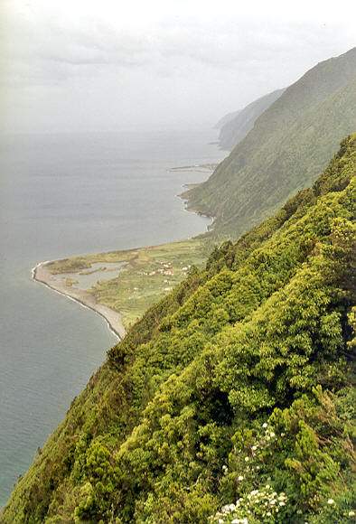 Vue générale
