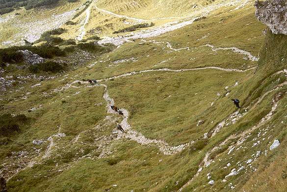La descente