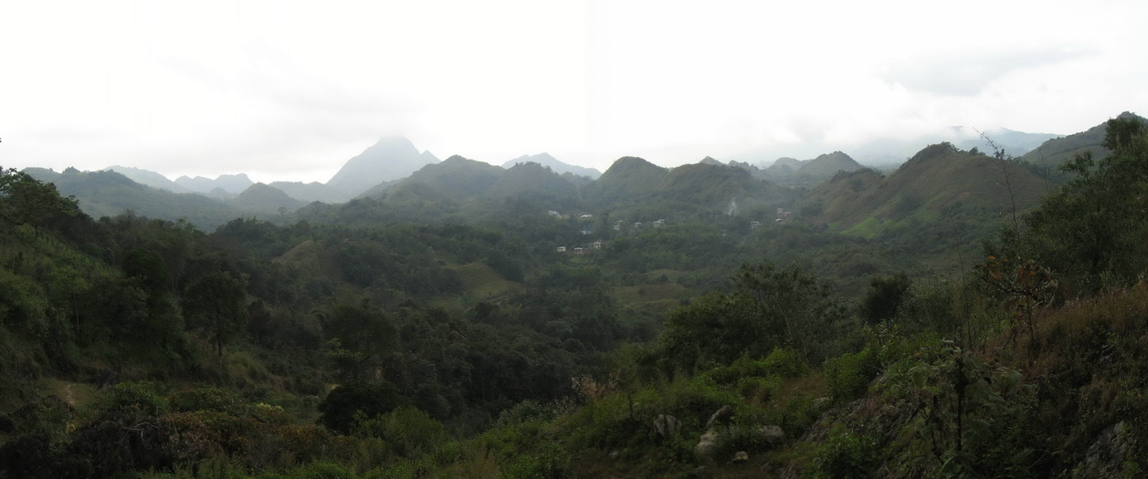 Panorama