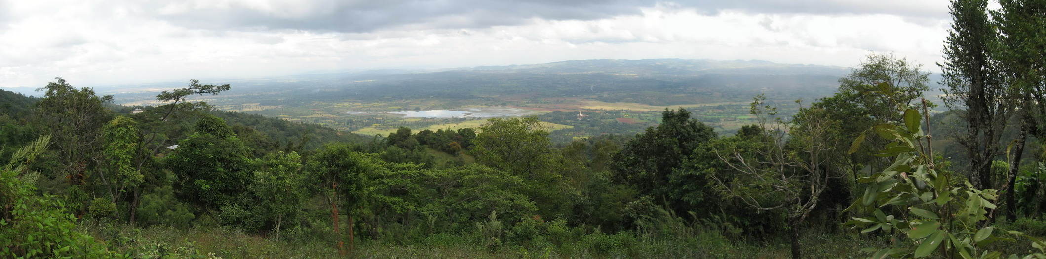 Panorama