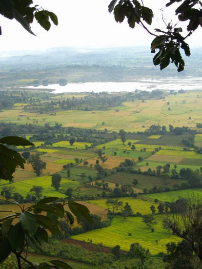 Paysage