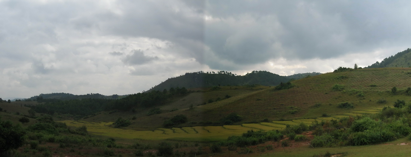 Rizières