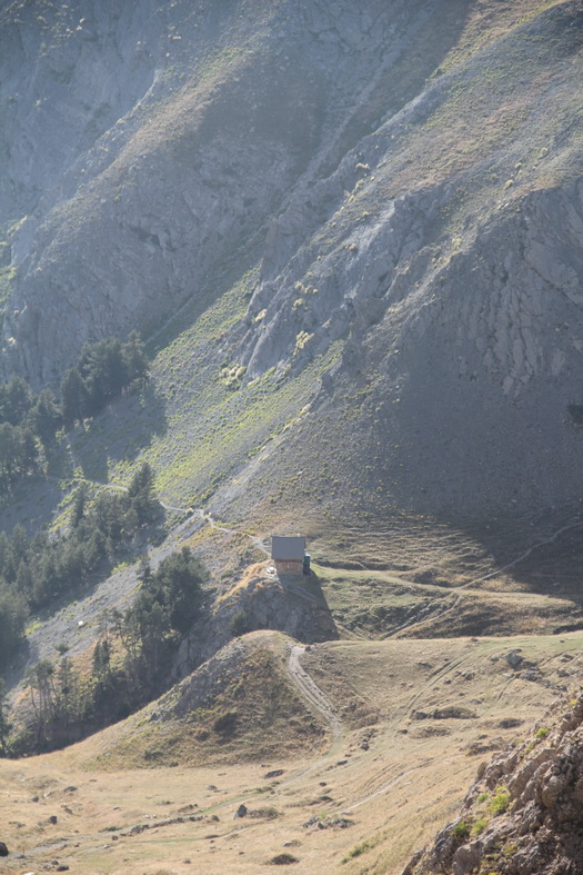 Bergerie