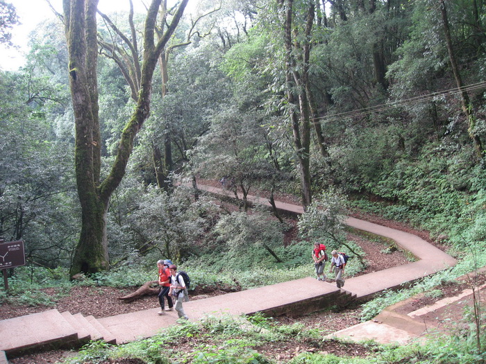 Chemin