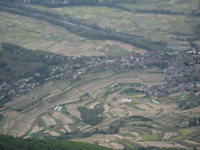 Rizière
