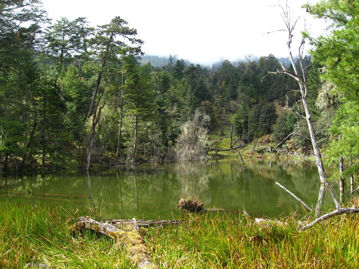 Lac