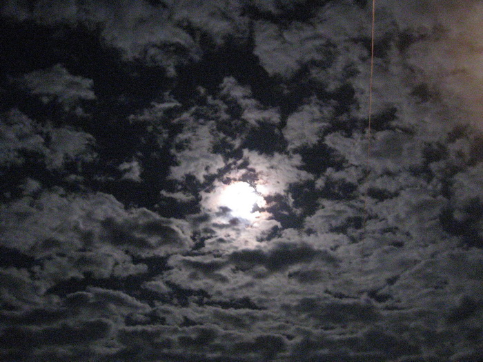 Ciel