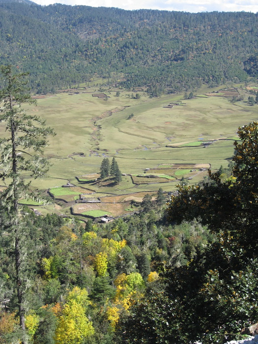 Paysage