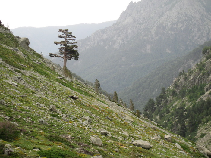 Montagne