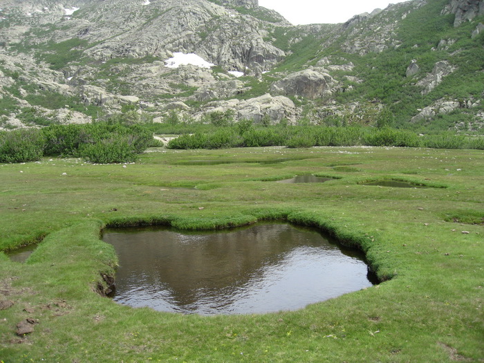 Pozzine