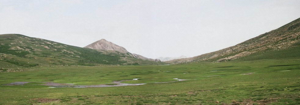 Pozzine
