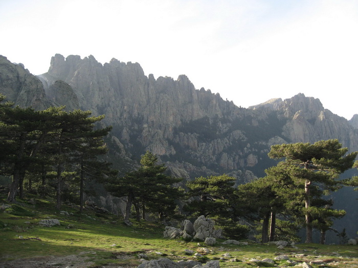 Aiguilles