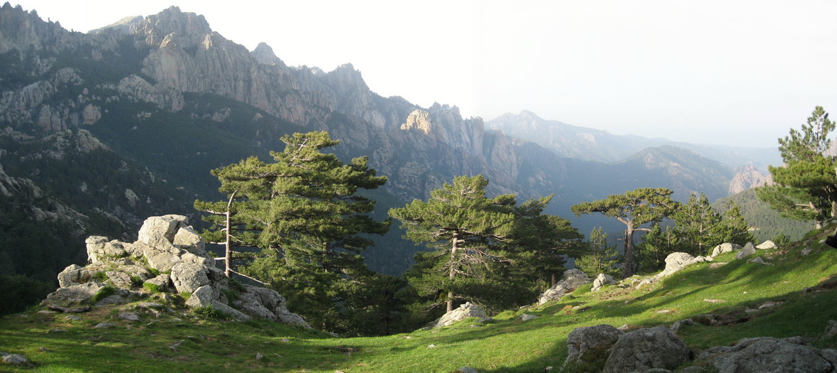 Panorama