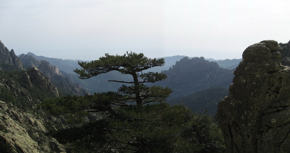 Paysage