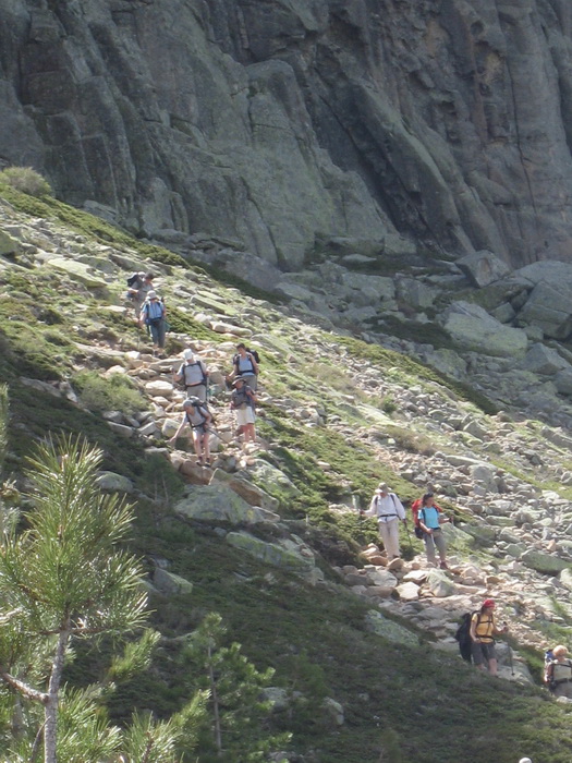 Descente