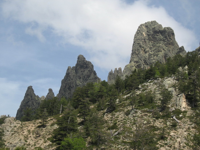 Aiguilles