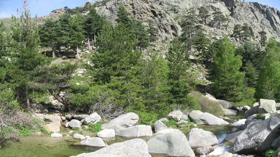 Ruisseau
