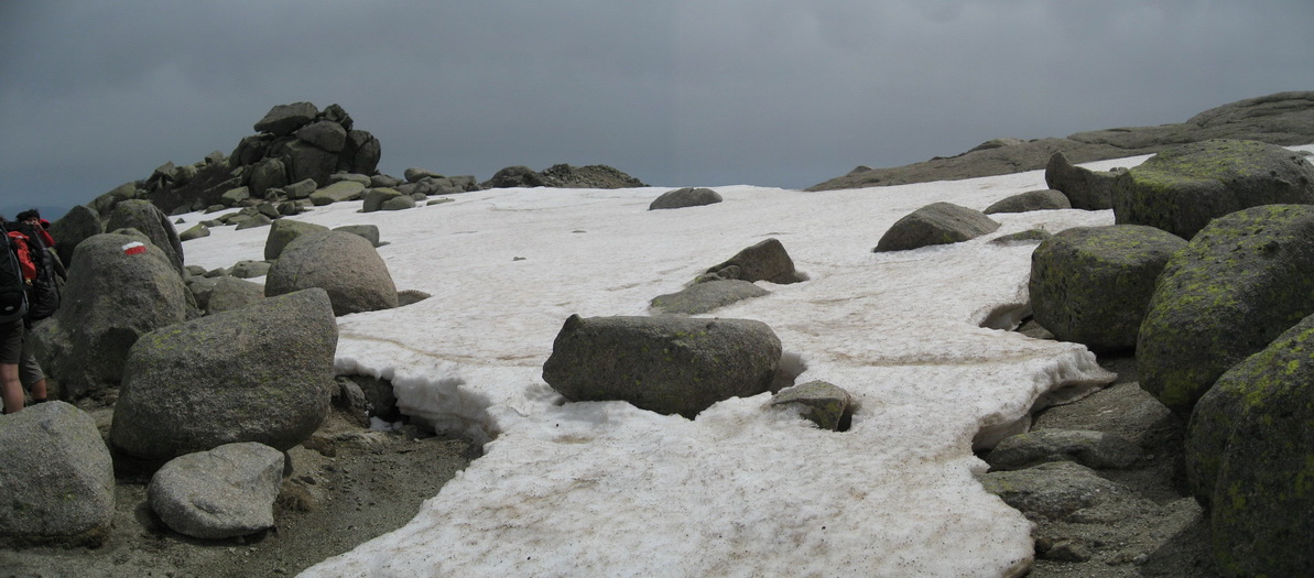 Neige