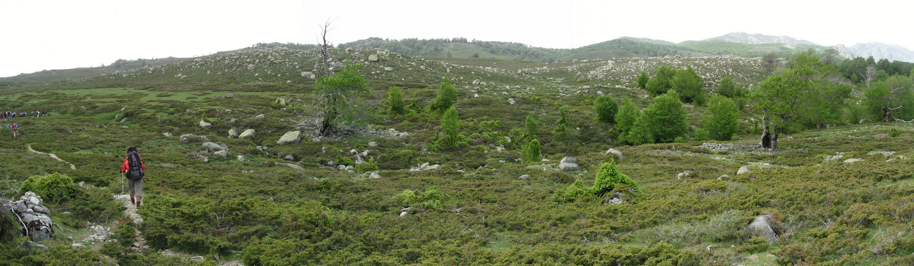 Prairie