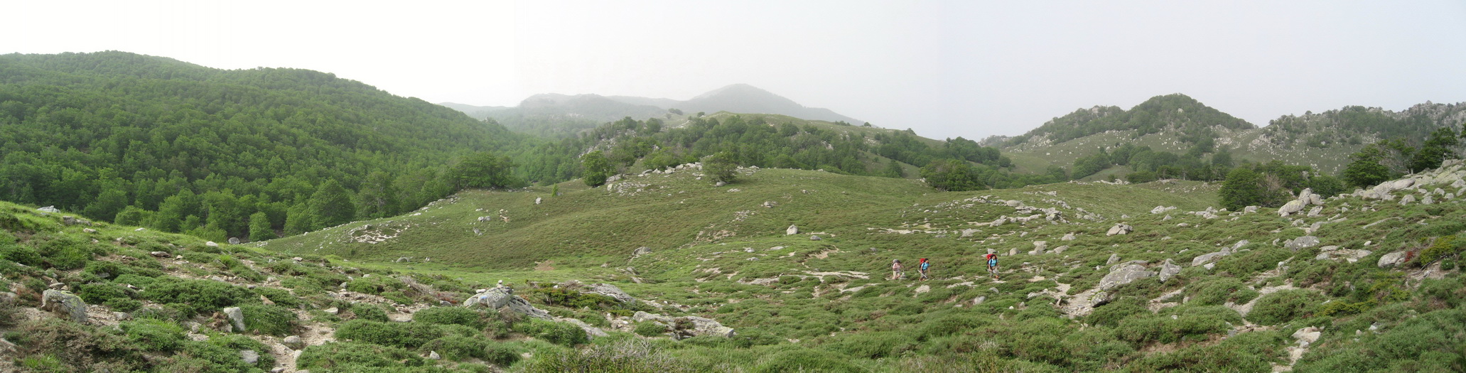 Colline