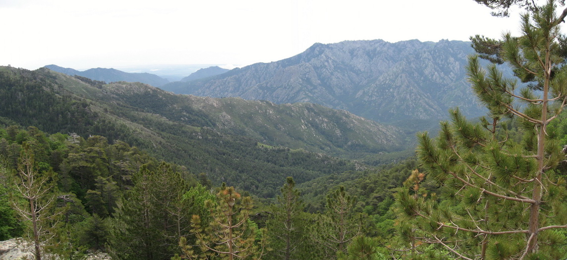 Montagne