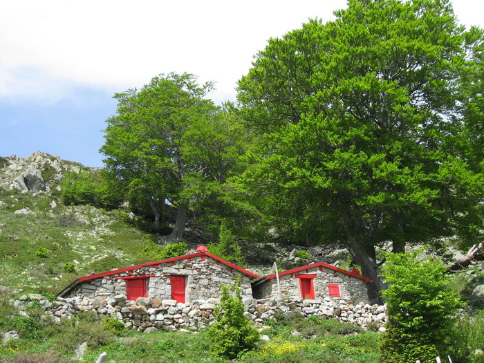 Bergerie