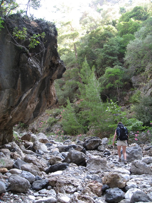 Gorges