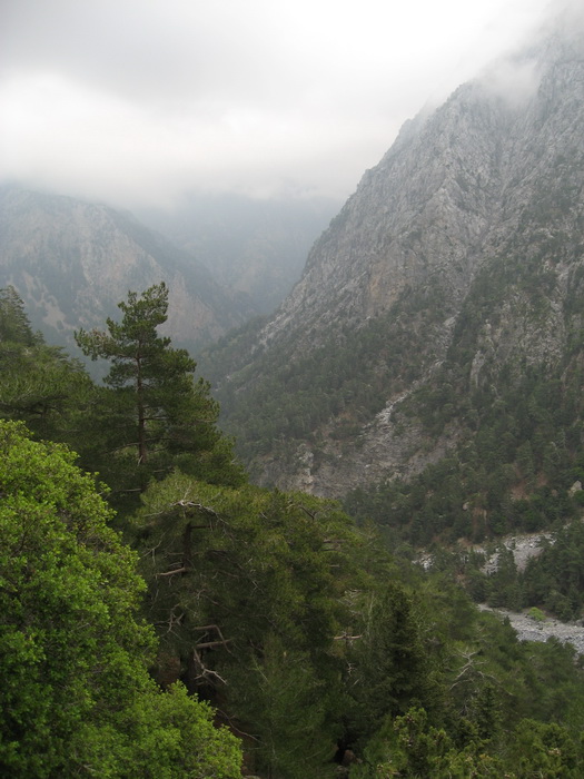 Gorges