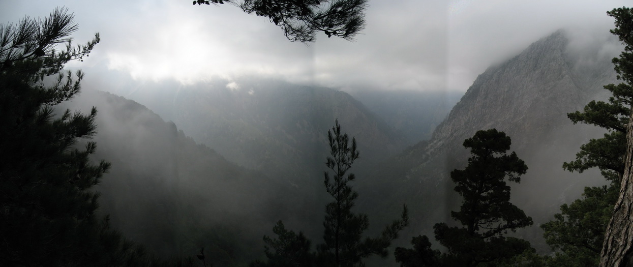 Panorama