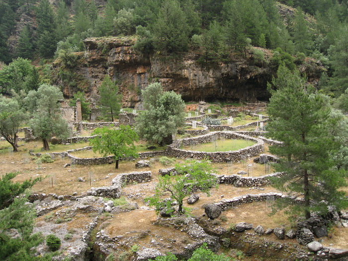 Village