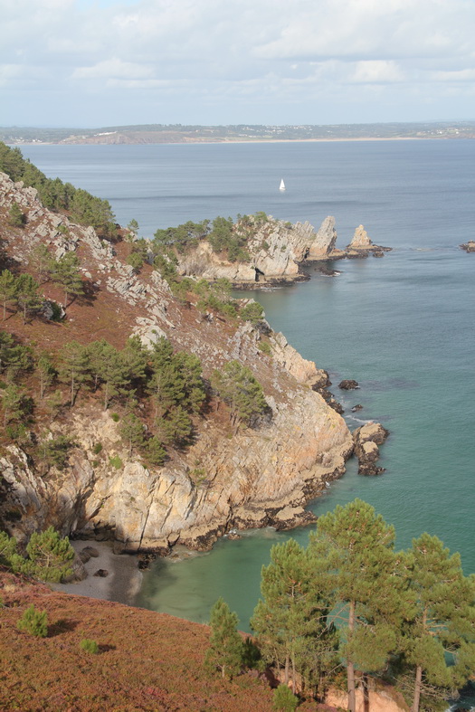 Ile vierge