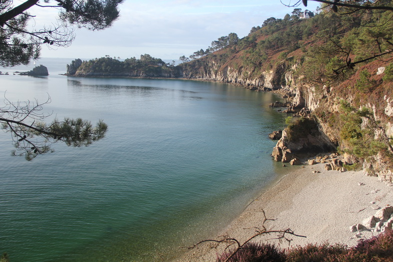 Ile vierge