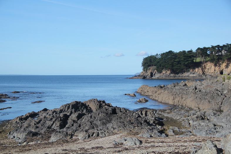 Falaise