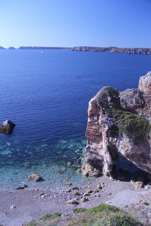 Falaise