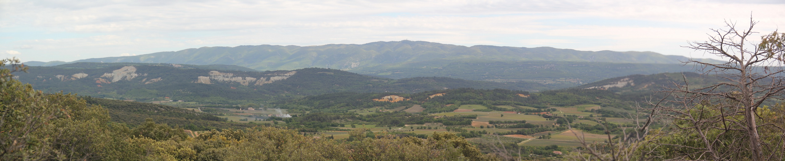 Panorama