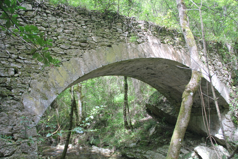 Pont