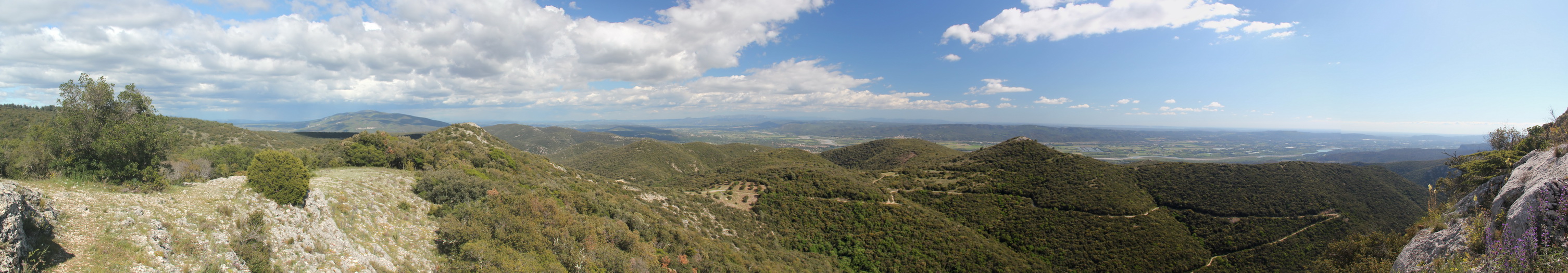 Panorama
