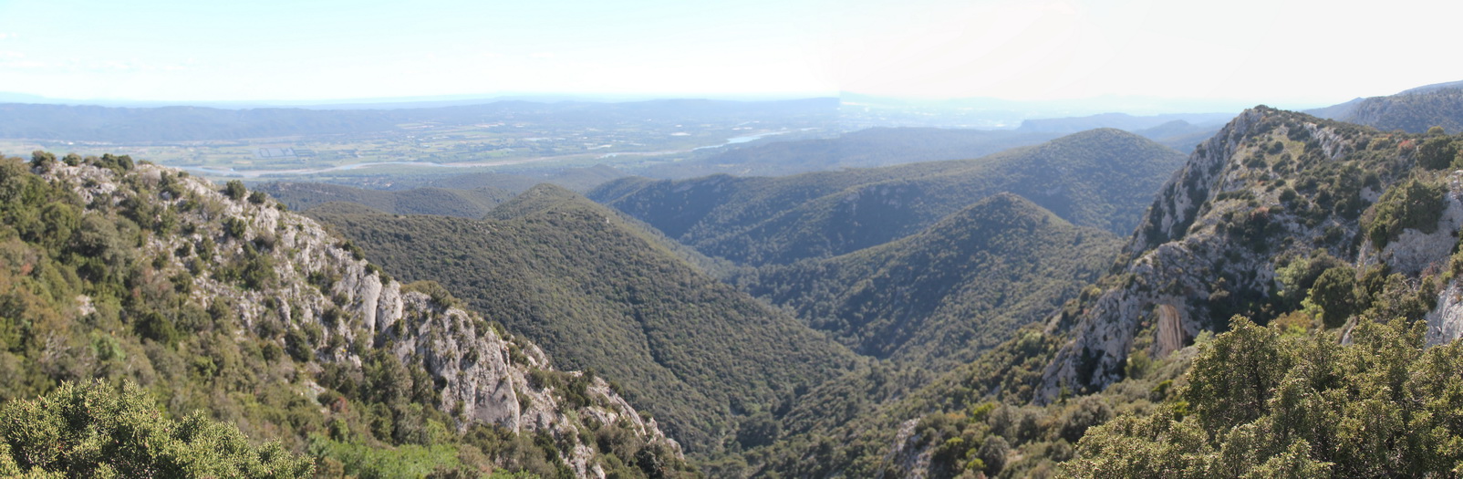 Panorama