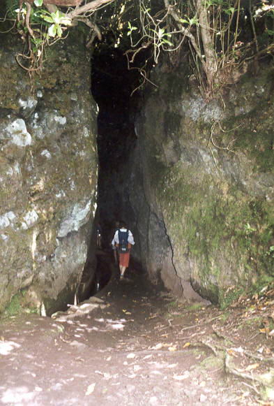 Levada
