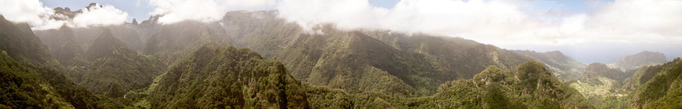 Panorama