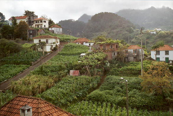 Village