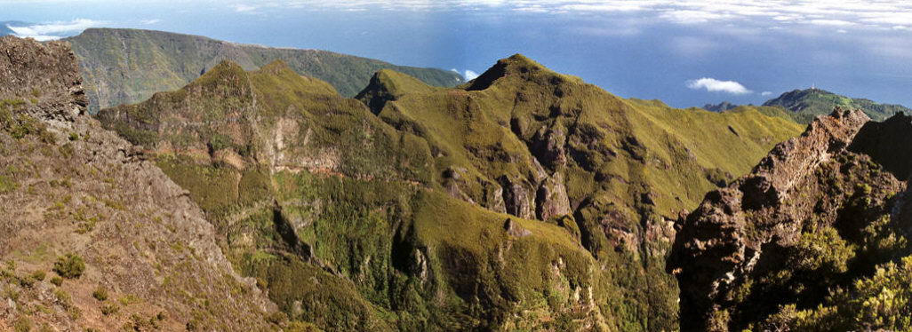 Panorama
