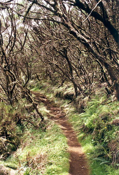 Chemin