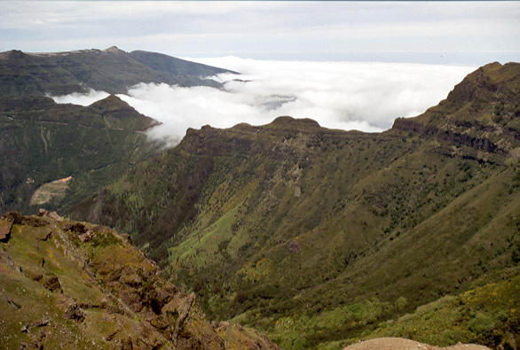 Paysage