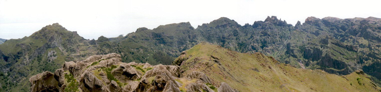Panorama