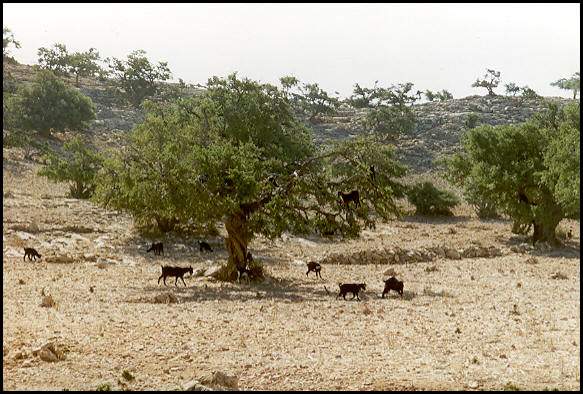 Chevriers