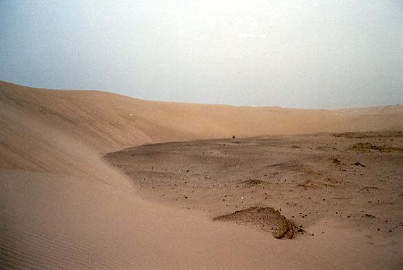 Dune
