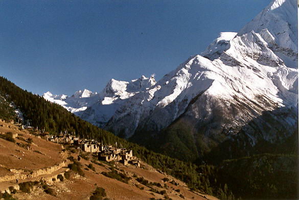 Ghyaru